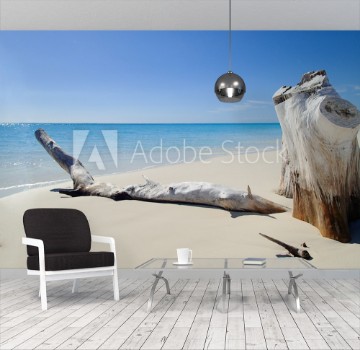 Picture of Cuba Cayo Largo Playa Sirena